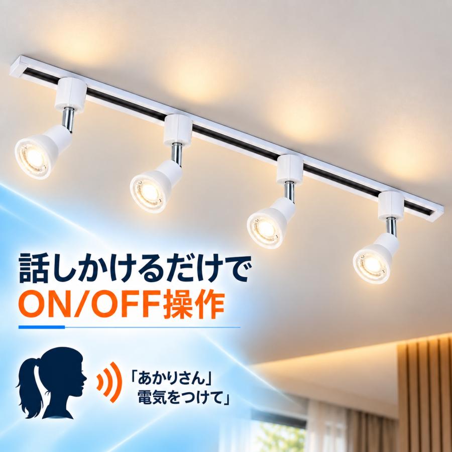 専用（ダクトレール込み） 慧光（エコウ） コンセント式 ダクトレール 1M 工事不要 あかりさん