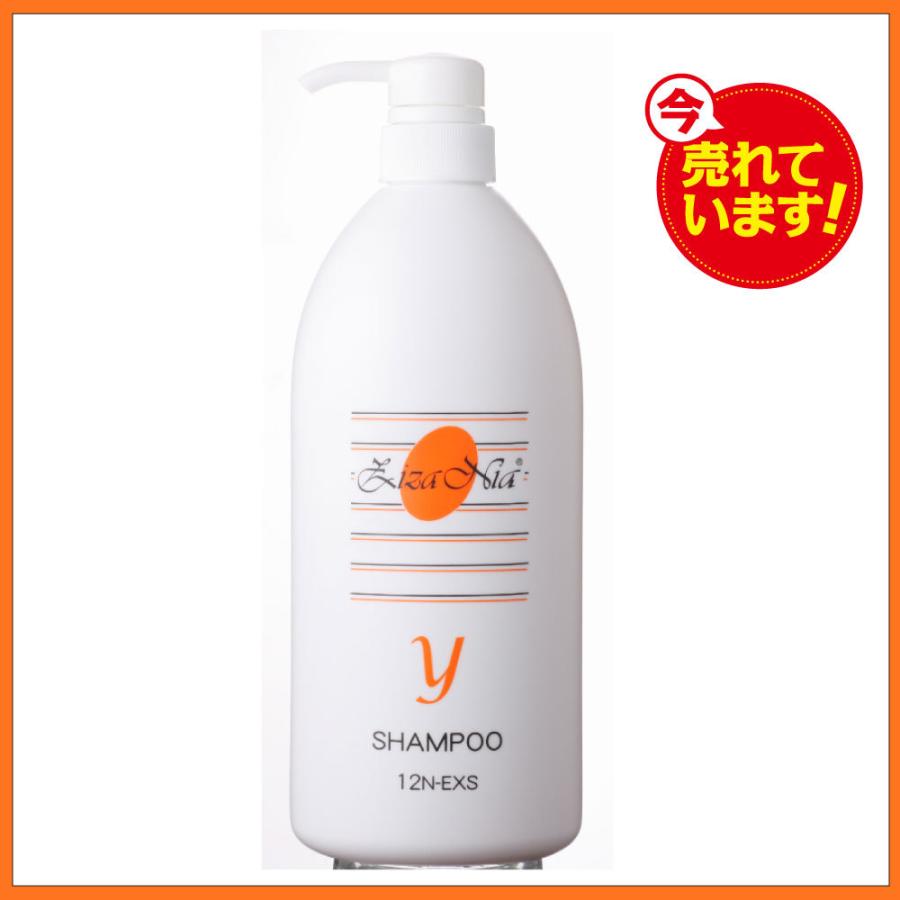ジザニアシャンプー Ｙ 1000 ml 　やわらかい髪におすすめ    株式会社リバーヴ｜ekubo-tsuuhan