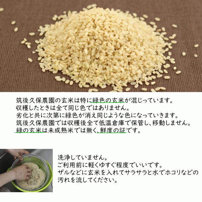 無農薬 無肥料 栽培米 2Kg// 玄米 | お試しセット 何度でもご利用頂けます 福岡県産 令和5年度産 元気つくし 筑後久保農園 自然栽培米｜ekubo｜13