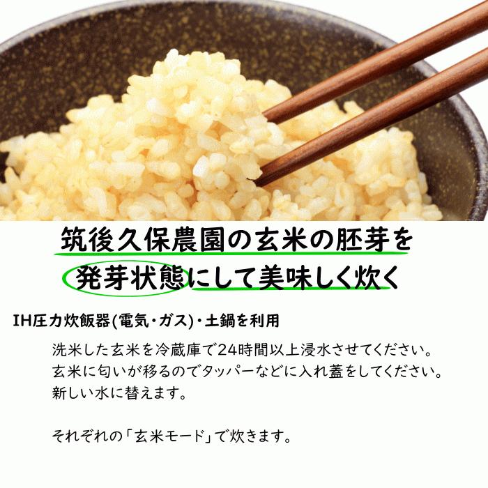 無農薬 無肥料 栽培米 2Kg// 玄米 | お試しセット 何度でもご利用頂けます 福岡県産 令和5年度産 元気つくし 筑後久保農園 自然栽培米｜ekubo｜16