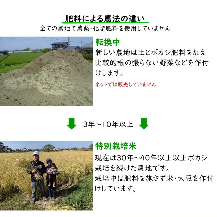 無農薬お米自然栽培 楽天市場】【ふるさと納税】米 令和7年産 自然栽培米 にこまる
