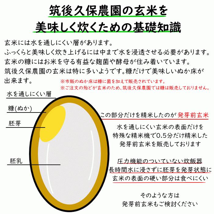 無農薬 無肥料 栽培米 10Kg | 玄米 福岡県産 令和5年度産 元気つくし 筑後久保農園 自然栽培米｜ekubo｜11