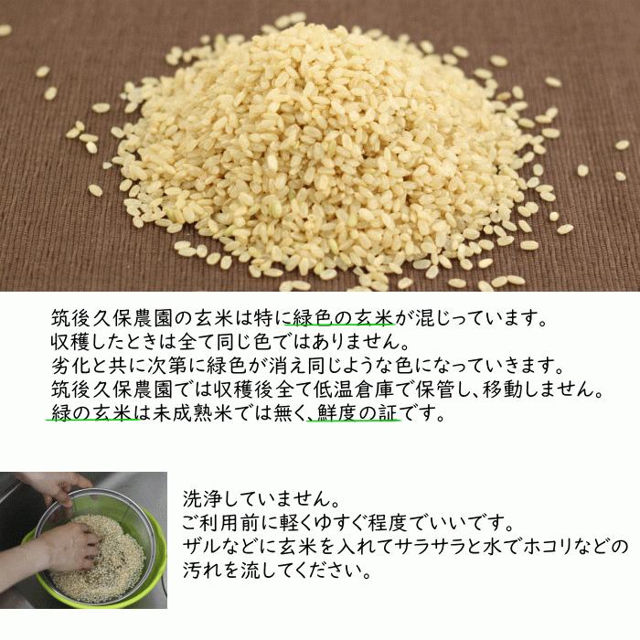 無農薬 玄米 10Kg 栽培中 無肥料 特別栽培米 筑後久保農園 令和6 無農薬 玄米 10Kg 栽培中 無肥料 特別栽培米 筑後久保農園 令和6