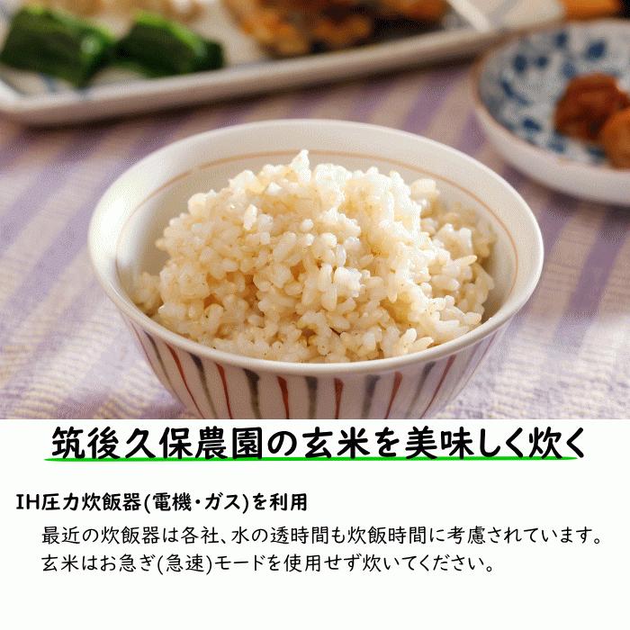 無農薬 無肥料 栽培米 10Kg | 玄米 福岡県産 令和5年度産 元気つくし 筑後久保農園 自然栽培米｜ekubo｜13