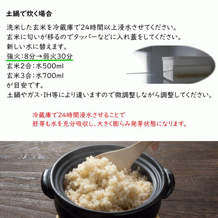 無農薬 無肥料 栽培米 10Kg | 玄米 福岡県産 令和5年度産 元気つくし 筑後久保農園 自然栽培米｜ekubo｜14