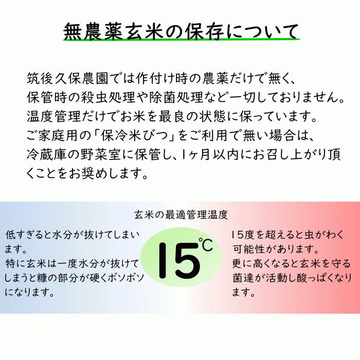 無農薬 玄米 10Kg 栽培中 無肥料 特別栽培米 筑後久保農園 令和6 無農薬 玄米 10Kg 栽培中 無肥料 特別栽培米 筑後久保農園 令和6