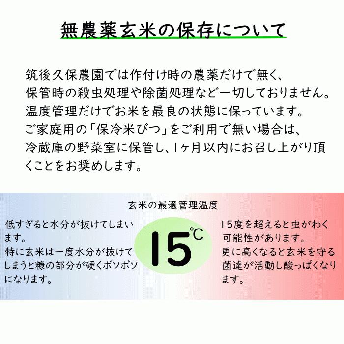 無農薬 無肥料 栽培米 10Kg | 玄米 福岡県産 令和5年度産 元気つくし 筑後久保農園 自然栽培米｜ekubo｜18