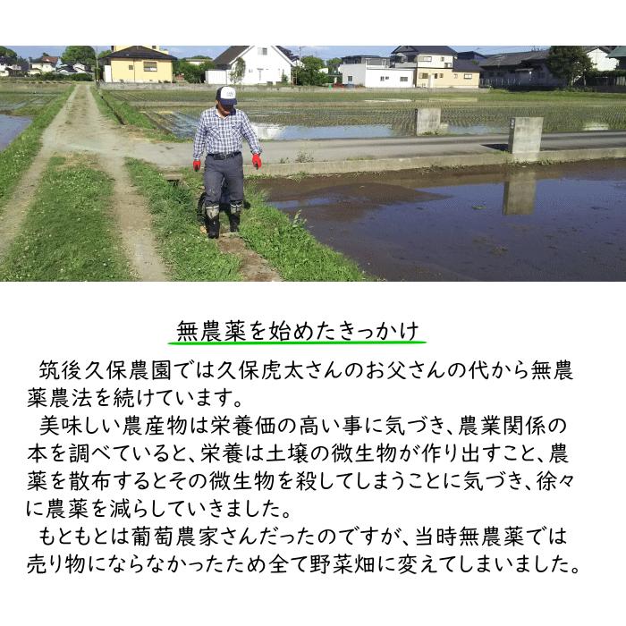 無農薬 無肥料 栽培米 10Kg | 玄米 福岡県産 令和5年度産 元気つくし 筑後久保農園 自然栽培米｜ekubo｜03