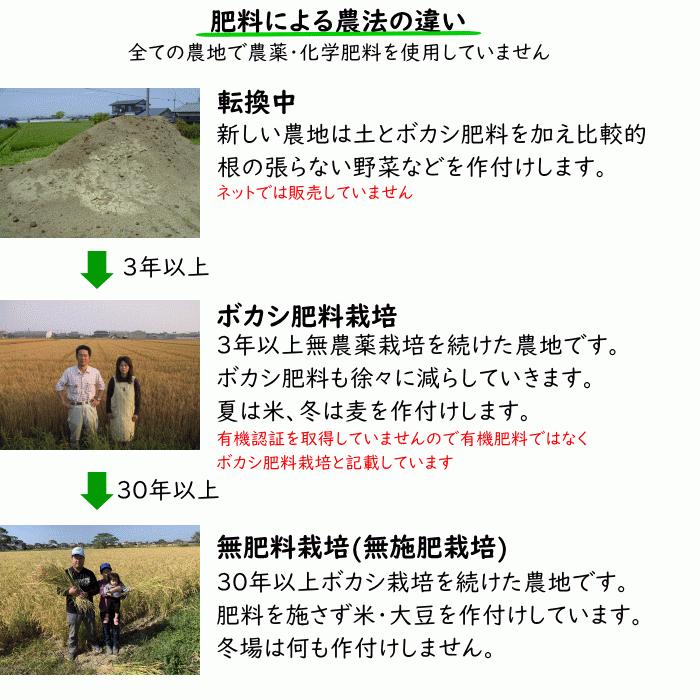 無農薬 無肥料 栽培米 10Kg | 玄米 福岡県産 令和5年度産 元気つくし 筑後久保農園 自然栽培米｜ekubo｜05