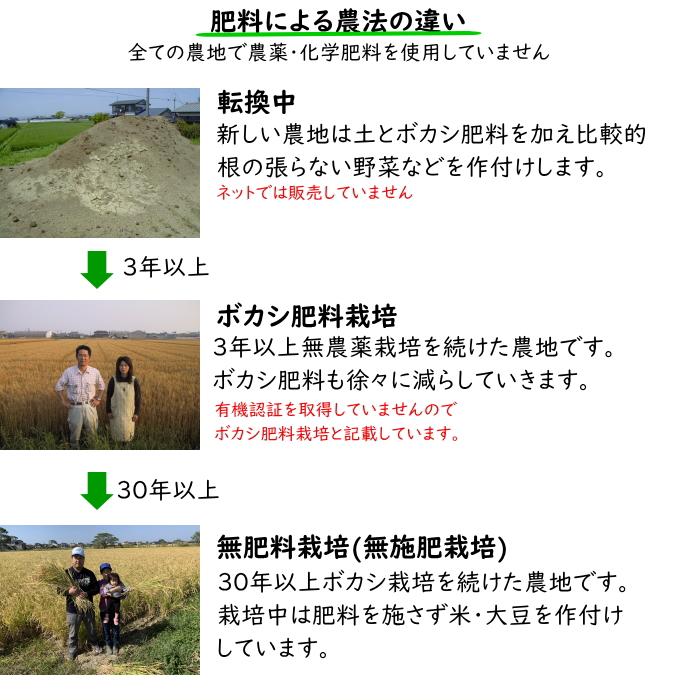 無農薬 玄米 10Kg 栽培中 無肥料 特別栽培米 筑後久保農園 令和6 無農薬 玄米 10Kg 栽培中 無肥料 特別栽培米 筑後久保農園 令和6