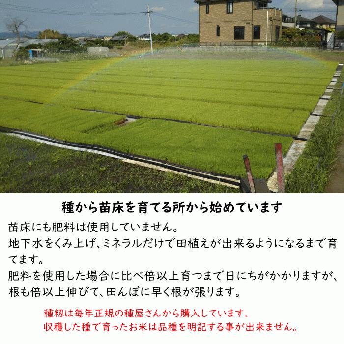 無農薬 無肥料 栽培米 10Kg | 玄米 福岡県産 令和5年度産 元気つくし 筑後久保農園 自然栽培米｜ekubo｜06