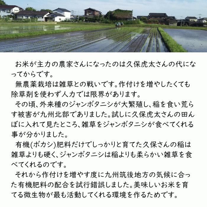 無農薬 無肥料 栽培米 20Kg | 玄米 福岡県産 令和5年度産 元気つくし 筑後久保農園 自然栽培米｜ekubo｜04