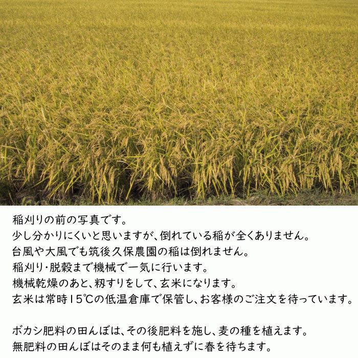 無農薬 無肥料 発芽前玄米5Kg | 福岡県産 令和5年度産 夢つくし 0.5分