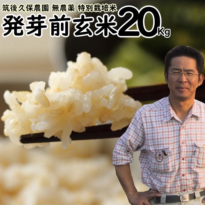 特別栽培米 福岡県産『元気つくし』令和4年産 玄米20kg 発芽玄米