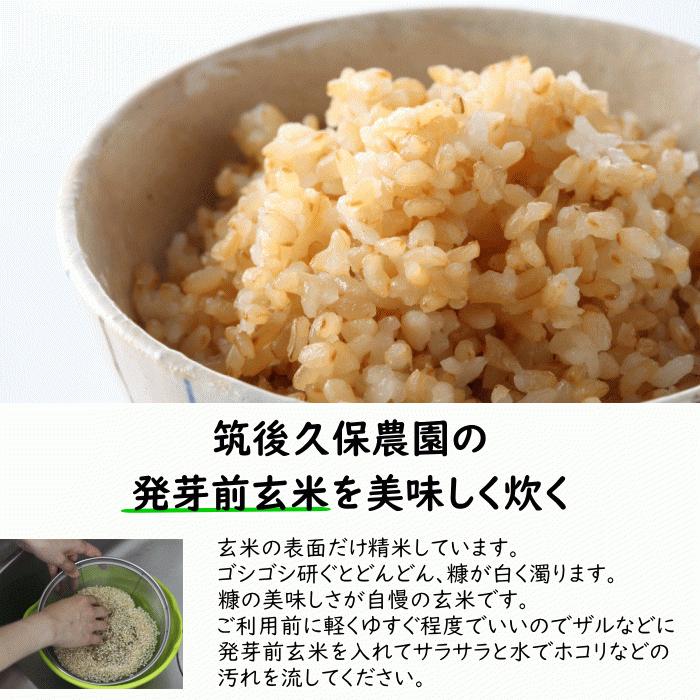 特別栽培米 福岡県産『元気つくし』令和4年産 玄米20kg 発芽玄米