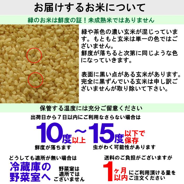 無農薬 特別栽培米 もち米 20kg栽培中 無肥料福岡県産