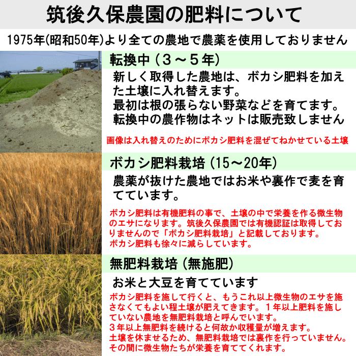 無農薬 特別栽培米 もち米 20kg栽培中 無肥料福岡県産