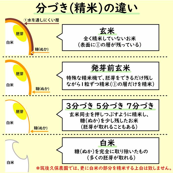 無農薬 特別栽培米 10Kg 栽培中 無肥料 筑後久保農園 令和6年度 無農薬 特別栽培米 10Kg 栽培中 無肥料 筑後久保農園 令和6年度
