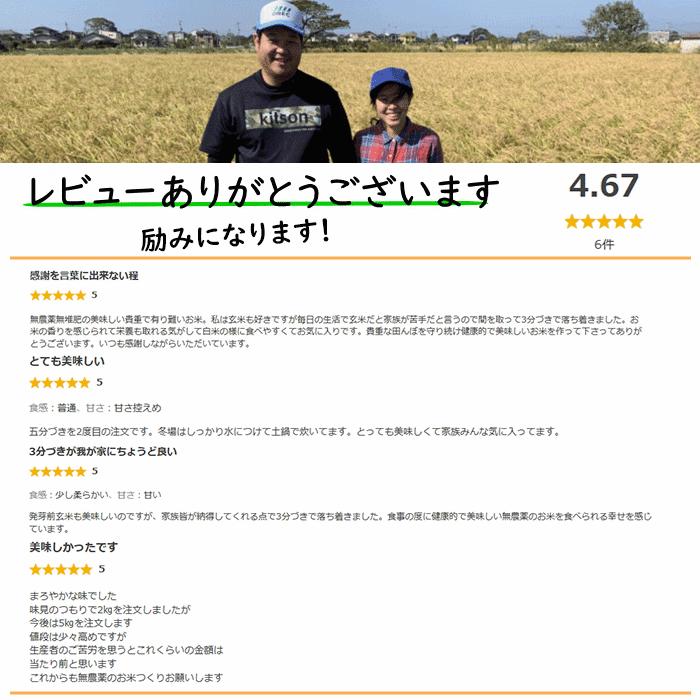 無農薬 特別栽培米 10Kg 栽培中 無肥料 筑後久保農園 令和6年度 無農薬 特別栽培米 10Kg 栽培中 無肥料 筑後久保農園 令和6年度