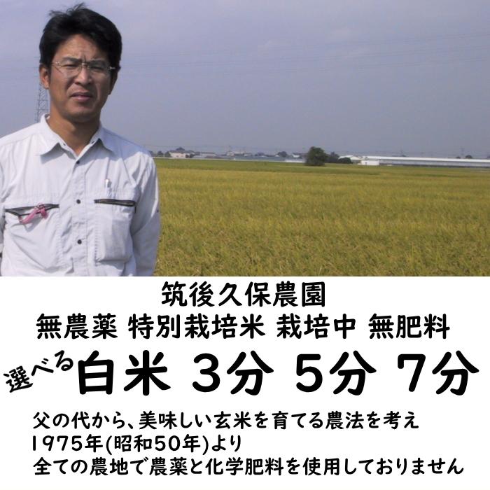 無農薬 特別栽培米 10Kg 栽培中 無肥料 筑後久保農園 令和6年度 無農薬 特別栽培米 10Kg 栽培中 無肥料 筑後久保農園 令和6年度