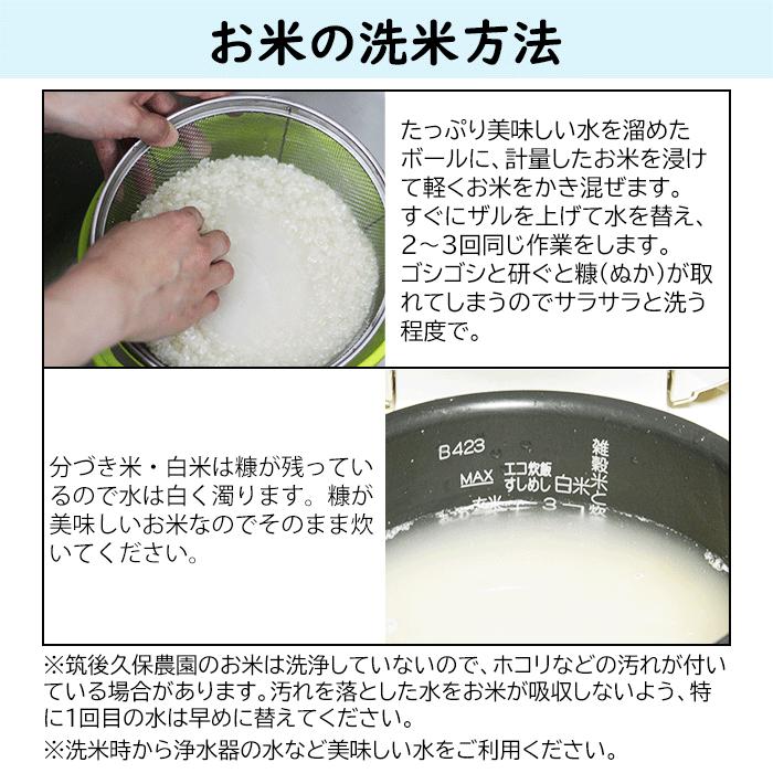 無農薬 ボカシ肥料 栽培米 10Kg | 選べる 白米 分づき 福岡県産 令和5年度産 にこまる 筑後久保農園｜ekubo｜13