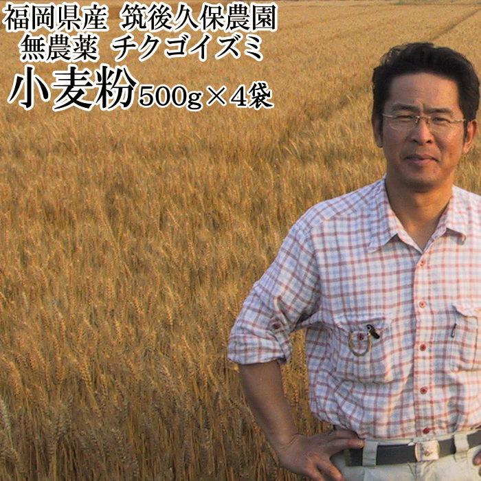 小麦粉 チクゴイズミ 500g 4袋入 無農薬 中力粉 本日の目玉 筑後久保農園 福岡県産
