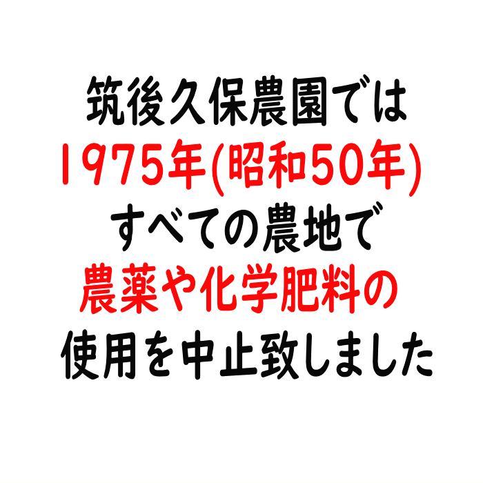 無農薬 小粒大豆 5Kg 福岡県産 筑後久保農園出荷 令和6年度産 無農薬 小粒大豆 5Kg 福岡県産 筑後久保農園出荷 令和6年度産