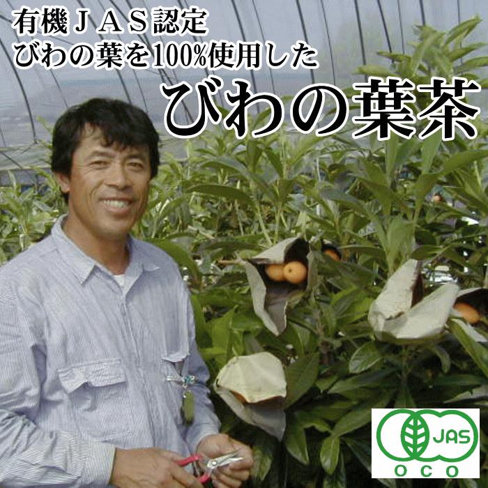 有機JAS認定 びわの葉茶 30包入 2袋ギフト | ポストにお届けする ぷちギフト ちょっとしたお届け物に ポスト投函専用 オーガニック認定枇杷｜ekubo｜04