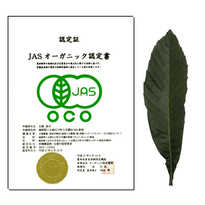 有機JAS認定 びわの葉茶 30包入 2袋ギフト | ポストにお届けする ぷちギフト ちょっとしたお届け物に ポスト投函専用 オーガニック認定枇杷｜ekubo｜06