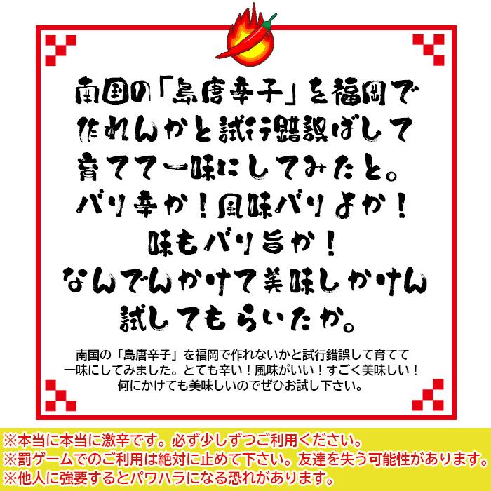 内祝いギフト 超激辛 島唐辛子 白 HAKU 10g 3本 有吉ゼミ 激辛