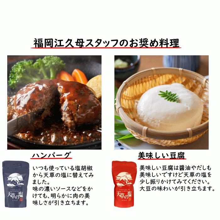 天草の塩 さらさら 500g | メール便ポスト投函 九電産業 平釜製法 淡い甘味 深い苦み 微かな酸味  サラサラとしたタイプ かけ塩 付け塩 に最適｜ekubo｜10