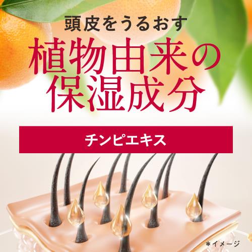 カミハダ 薬用スカルプシャンプー 700mL ＆ 専用トリートメント700g 医薬部外品 皮膚の専門家監修 ノンシリコン アミノ酸 KAMIHADA 詰め替えパウチ｜ekuserennto｜07