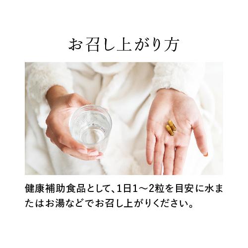 公式】 大正製薬 NMN taisho 1袋3粒×30袋 90カプセル