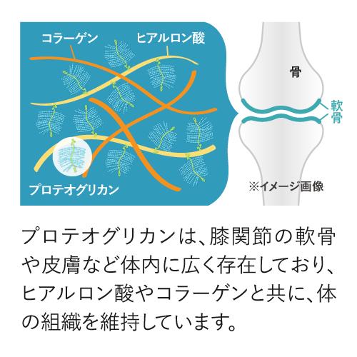 ひざ 関節 軟骨 の保護に役立つ プロテオグリカン サプリ 日常生活の膝の動きを改善 医師監修 機能性表示食品 潤ひざ 90粒 3袋 約3ヶ月分｜ekuserennto｜08