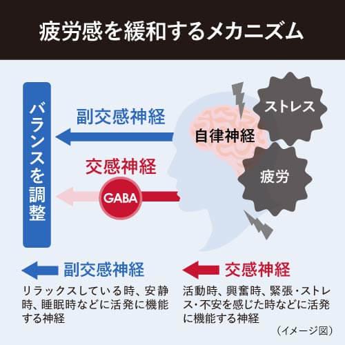 高めの 血圧 を下げる 事務的作業に伴う一時的な疲労感を緩和する 医師監修 機能性表示食品 サプリ 62粒 2袋セット 約2ヶ月分 GABA+ 高血圧 yff｜ekuserennto｜08