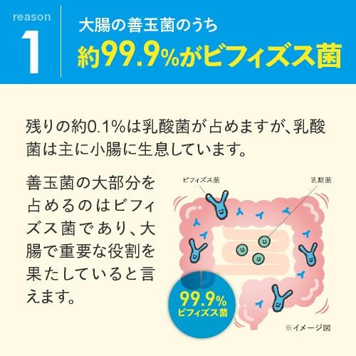 エクセレントメディカル ビフィズス菌 BB536 100億個 腸まで届く 腸内