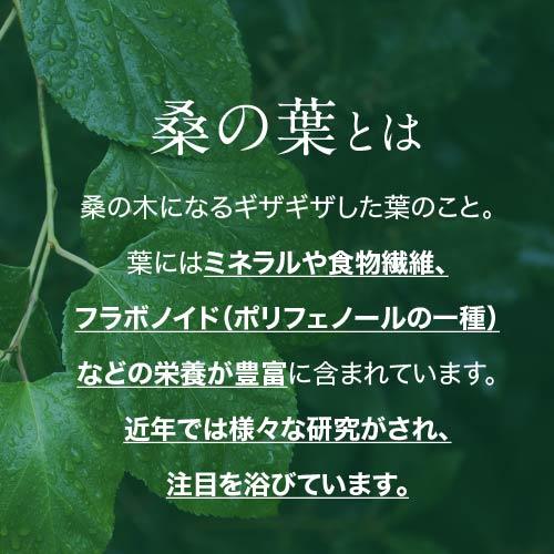 エクセレントメディカル 桑の葉 イミノシュガー サプリ ブラック