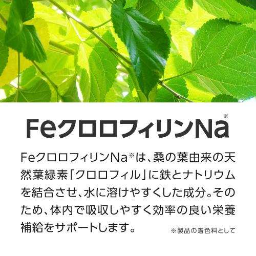 Feクロロフィル 30カプセル 栄養機能食品 鉄 エチケット
