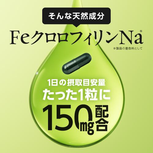 Feクロロフィル 30カプセル 栄養機能食品 鉄 エチケット