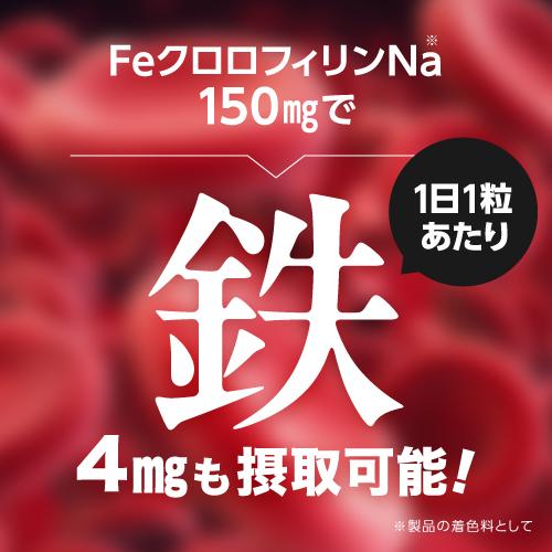 Feクロロフィル 30カプセル 栄養機能食品 鉄 エチケット