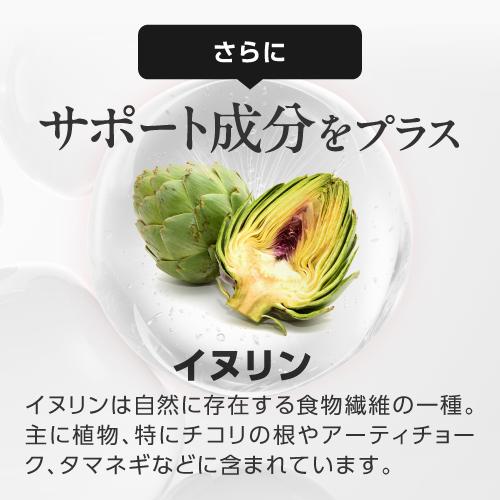 Feクロロフィル 30カプセル 栄養機能食品 鉄 エチケット