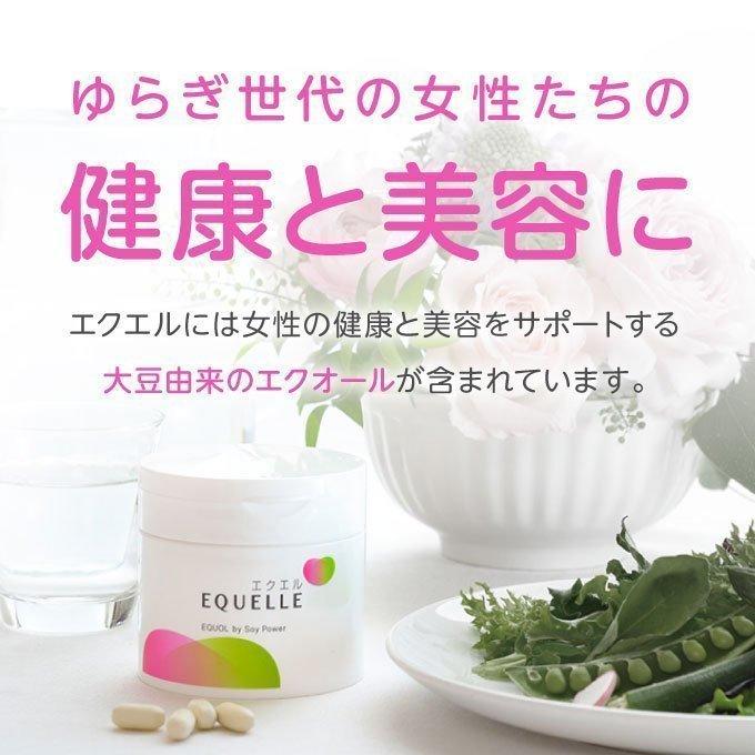 エクエル パウチ エクオール 大塚製薬 120粒×3袋 : エクセレント エクエル パウチ エクオール 大塚製薬 120粒×3袋 : エクセレント