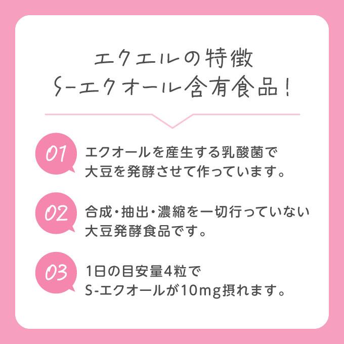 エクエル パウチ 大塚製薬 120粒×3袋 エクオール : エクセレント