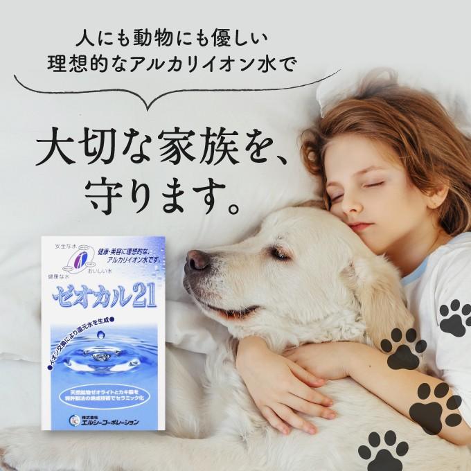 35％OFF】 ゼオカル3個セット ienomat.com.br