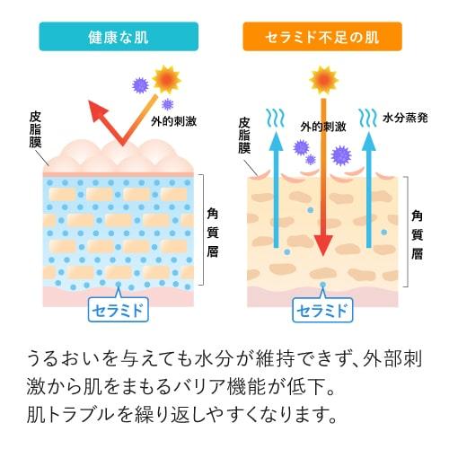 セラミド 乳液 高濃度16％ ナノエマルジョン 技術 ナノセラミド ヒト型セラミド 60mL プラスキレイ プラスナノセラミルク16 yff｜ekuserennto｜10