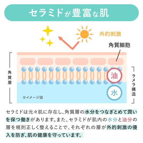 セラミド 美容液 ヒト型セラミド 乾燥肌 ラメラ構造 両親媒性 プラスキレイ プラスモイスチャーCEセラム 100mL yff｜ekuserennto｜04