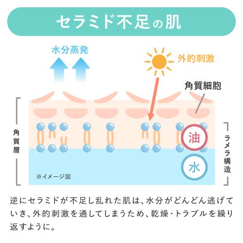 セラミド 美容液 ヒト型セラミド 乾燥肌 ラメラ構造 両親媒性 プラスキレイ プラスモイスチャーCEセラム 100mL yff｜ekuserennto｜05