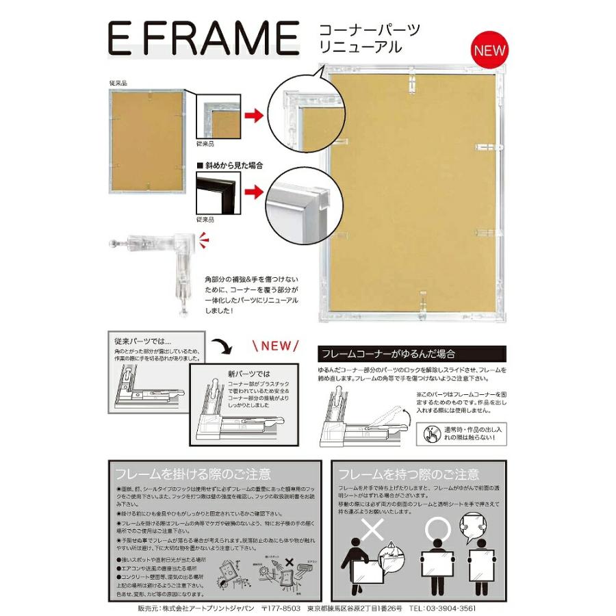 APJ】Eフレーム【515mm×728mm：B2サイズ】（額縁内寸）アルミ製額縁