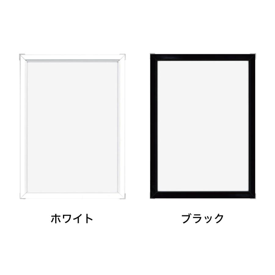APJ】Eフレーム【700mm×1000mm：ポスターサイズ】（額縁内寸）アルミ製