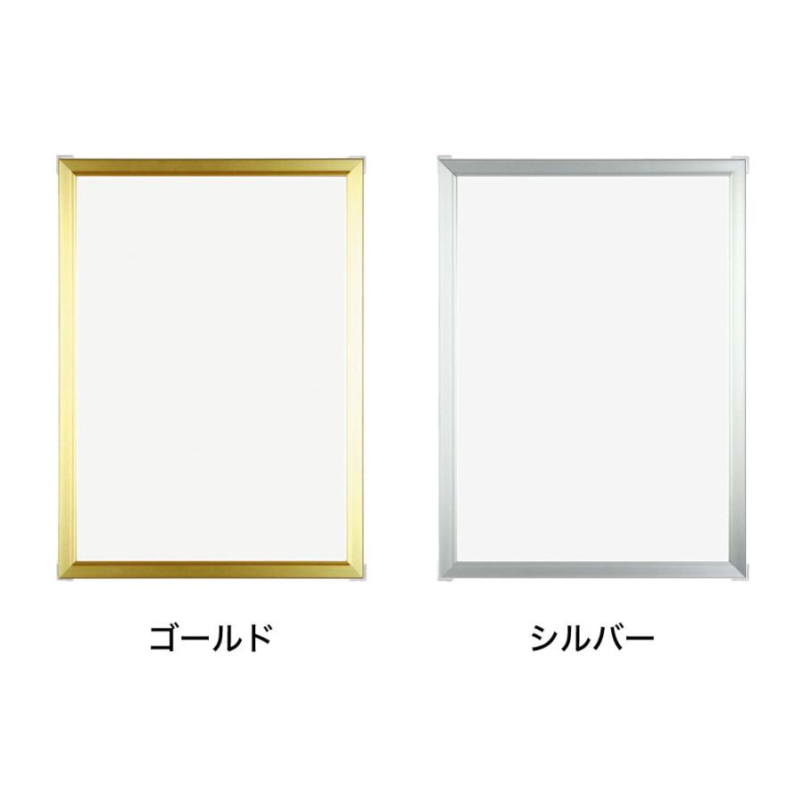 APJ】Eフレーム【700mm×1000mm：ポスターサイズ】（額縁内寸）アルミ製